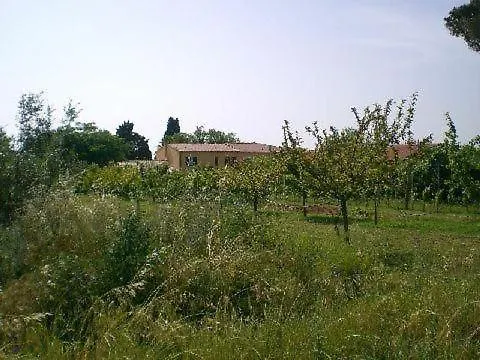 Wohnung Mit Pool Und Grossem Garten Cecina